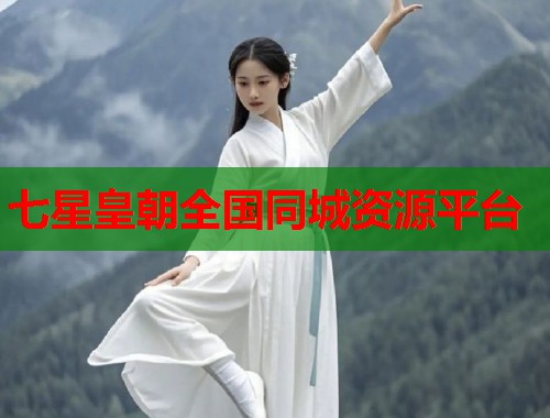 七星皇朝全国同城资源平台  第2张